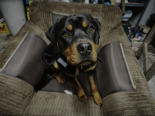 Move abroad happened next week :-(