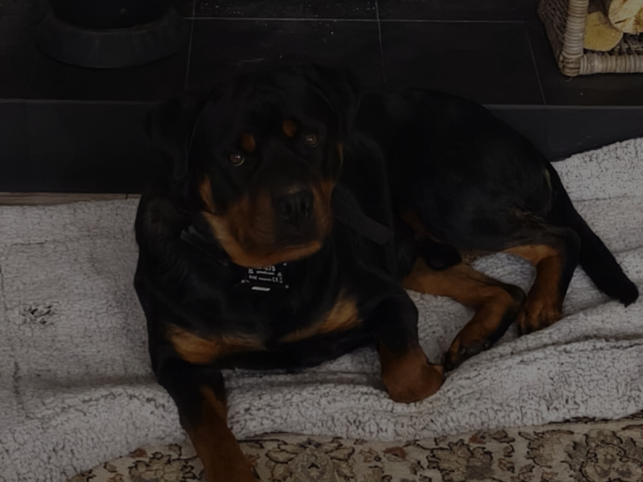 Move abroad happened next week :-( 3