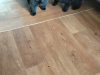 Chow chow puppies 4
