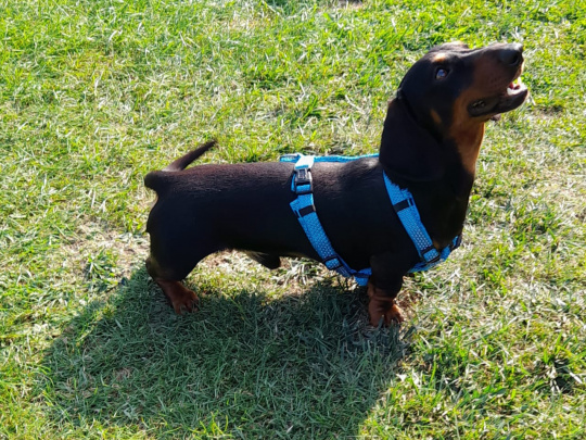 My adorable little man