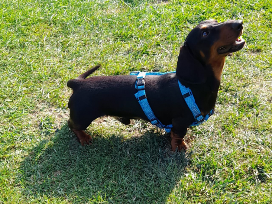 My adorable little man 1