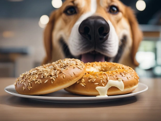 Can Dogs Eat Bagels?