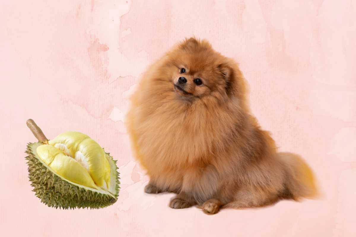 Can Dogs Eat Durian?