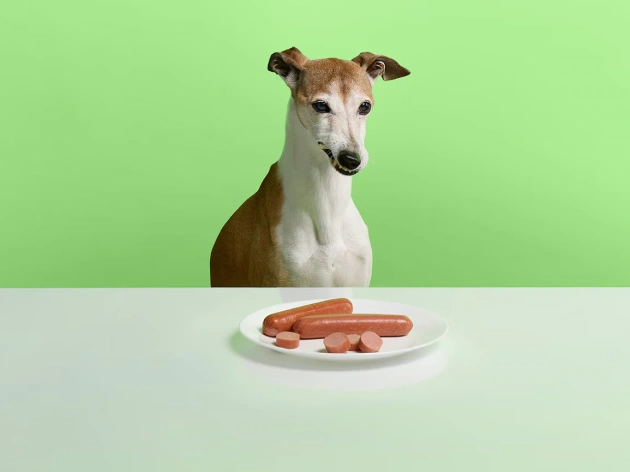 Can Dogs Eat Sausage?