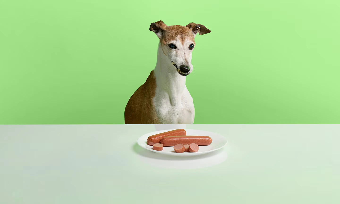 Can Dogs Eat Sausage?
