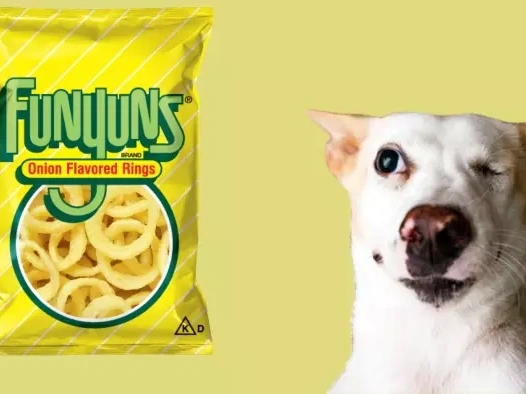 Can Dogs Have Funyuns?