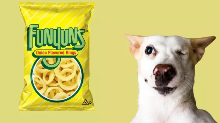 Can Dogs Have Funyuns?