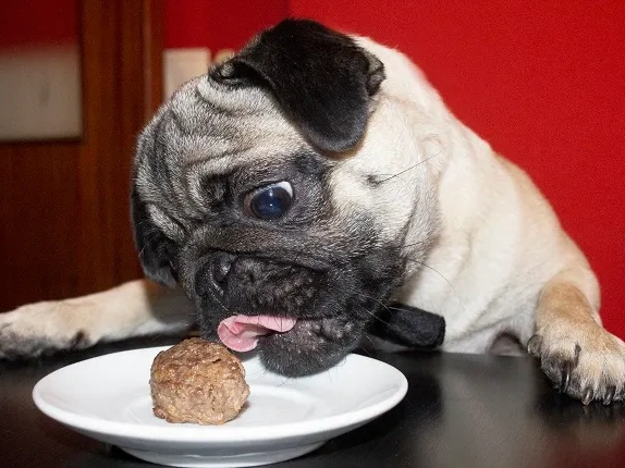 Can Dogs Have Meatballs?
