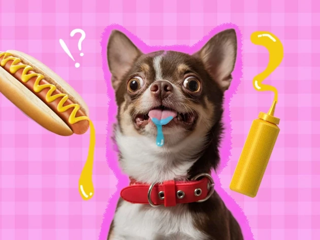 Can Dogs Have Mustard?
