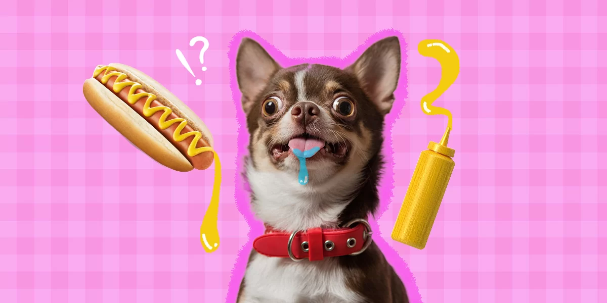 Can Dogs Have Mustard?