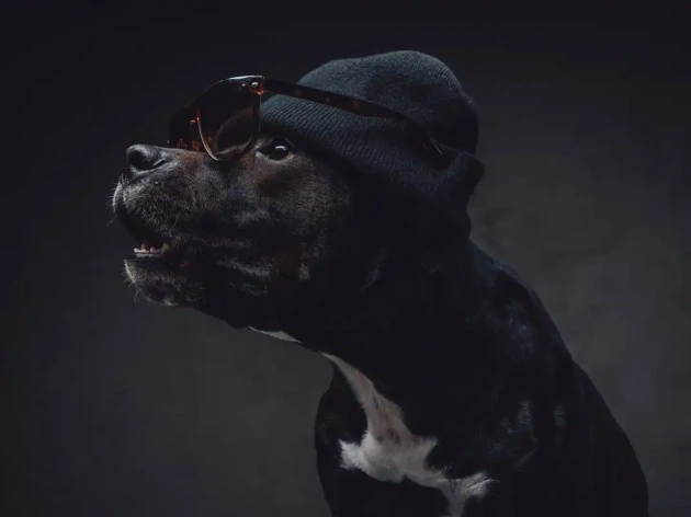 Gangster Dog Names