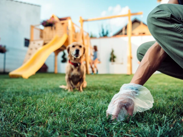 How to Clean Dog Poop Off Shoes
