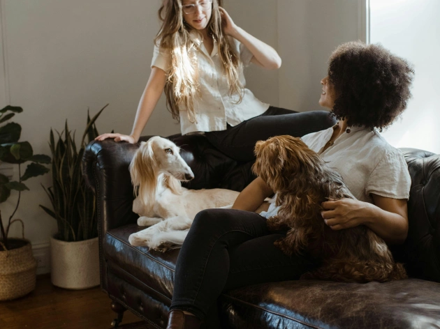 The Physical Health Benefits of Dog Ownership