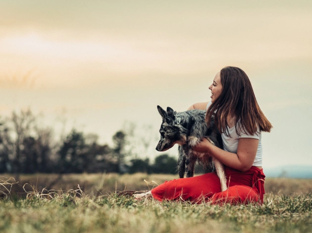 The Power of Videos in Dog Advertisements